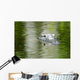 American Alligator Beautiful Water Wall Decal