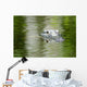 American Alligator Beautiful Water Wall Decal