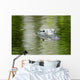 American Alligator Beautiful Water Wall Decal
