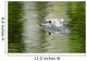 American Alligator Beautiful Water Wall Decal