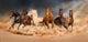 Horse Herd Run Desert Wall Decal