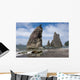 Rialto Beach Olympic National Wall Decal