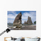 Rialto Beach Olympic National Wall Decal