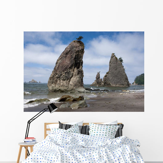 Rialto Beach Olympic National Wall Decal