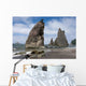 Rialto Beach Olympic National Wall Decal