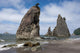 Rialto Beach Olympic National Wall Decal