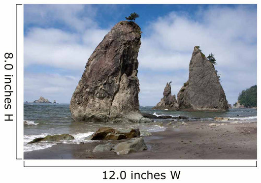 Rialto Beach Olympic National Wall Decal