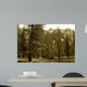 Sepia Valley Wall Decal