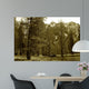 Sepia Valley Wall Decal