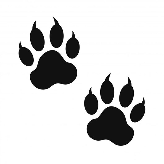 Clawed Paw Prints Wall Decal