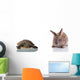 Cute Bunny and Turtle Wall Decal