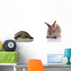 Cute Bunny and Turtle Wall Decal