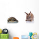 Cute Bunny and Turtle Wall Decal