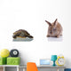 Cute Bunny and Turtle Wall Decal