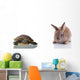 Cute Bunny and Turtle Wall Decal