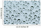 Drops Water Wall Decal