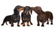 Adorable Dachshund Dogs Kissing Wall Decal
