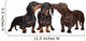 Adorable Dachshund Dogs Kissing Wall Decal