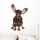 Funny Dachshund Dog Wall Decal
