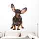Funny Dachshund Dog Wall Decal