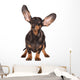 Funny Dachshund Dog Wall Decal