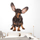Funny Dachshund Dog Wall Decal