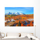 Dallas Divide Wall Decal