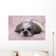 Shih Tzu Puppy Wall Decal