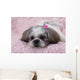 Shih Tzu Puppy Wall Decal