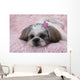 Shih Tzu Puppy Wall Decal