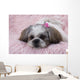Shih Tzu Puppy Wall Decal