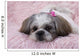 Shih Tzu Puppy Wall Decal
