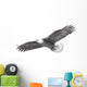 Eagle Flying Hand Draw Wall Decal