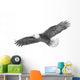 Eagle Flying Hand Draw Wall Decal