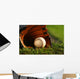 Baseball and Glove Grass Wall Decal