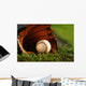 Baseball and Glove Grass Wall Decal