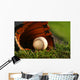 Baseball and Glove Grass Wall Decal