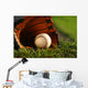 Baseball and Glove Grass Wall Decal