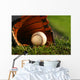 Baseball and Glove Grass Wall Decal