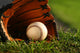 Baseball and Glove Grass Wall Decal