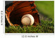 Baseball and Glove Grass Wall Decal