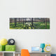 Early Morning with Sunrise Wall Decal