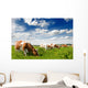 Cow Wall Decal
