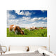 Cow Wall Decal
