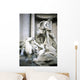 Trevi Fountain Wall Decal