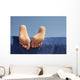 Foot Girl Sunbathing Beach Wall Decal
