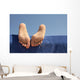 Foot Girl Sunbathing Beach Wall Decal