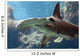 Hammerhead Shark Wall Decal