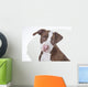 Young Pit-bull Wall Decal