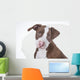 Young Pit-bull Wall Decal